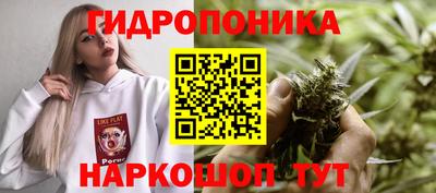 спиды Новозыбков