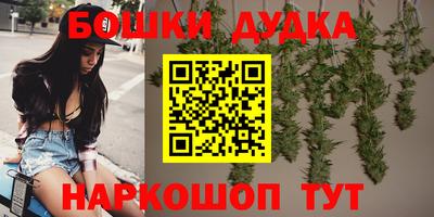 спиды Новозыбков