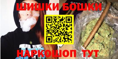 дмт Новодвинск
