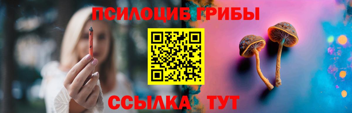 Псилоцибиновые грибы MAGIC MUSHROOMS Скопин